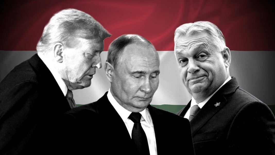 Будапештський Бліцкриг: Саміт Трампа і Путіна готується сколихнути Європу