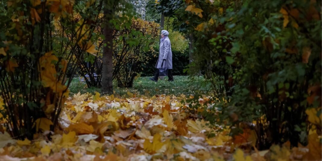 Нові правила і гроші: Як листопад змінить відстрочки, виплати полоненим та тарифи Нові правила і гроші: Як листопад змінить відстрочки, виплати полоненим та тарифи