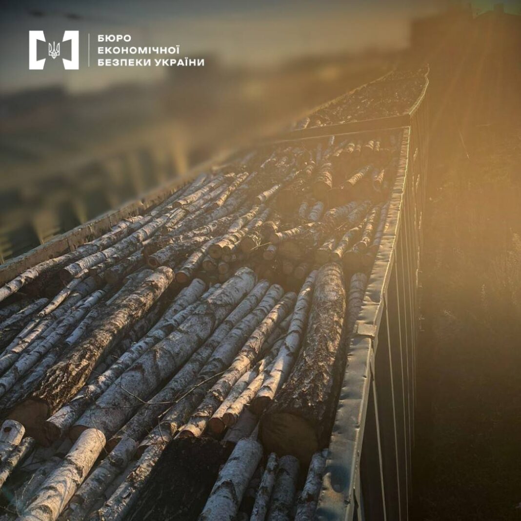 Контрабанда чи корупція: ділова деревина поїхала у Румунію під носом у митників