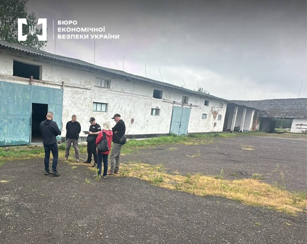 Корупційний врожай: Як на Закарпатті керівниця інституту та її спільниця розтратили 300 тонн зерна